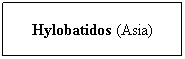 Cuadro de texto: Hylobatidos (Asia)
