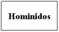 Cuadro de texto: Hominidos
