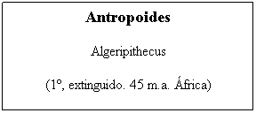 Cuadro de texto: Antropoides 
Algeripithecus 
(1�, extinguido. 45 m.a. �frica)
&nbsp;
