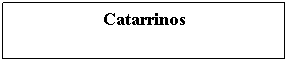 Cuadro de texto: Catarrinos 
&nbsp;
