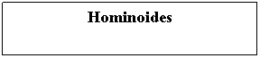 Cuadro de texto: Hominoides
&nbsp;
