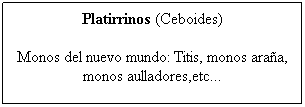 Cuadro de texto: Platirrinos (Ceboides)
Monos del nuevo mundo: Titis, monos ara�a, monos aulladores,etc...
&nbsp;
