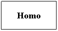 Cuadro de texto: Homo

