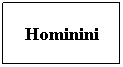Cuadro de texto: Hominini
